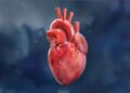 AI Is Extremely Effective in Diagnosing Heart Disease