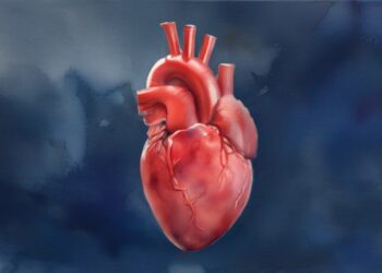 AI Is Extremely Effective in Diagnosing Heart Disease