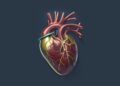 Public Health Needs Better AI Data for Cardiovascular Disease Treatment