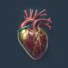 Public Health Needs Better AI Data for Cardiovascular Disease Treatment