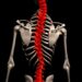 AI Smartphone App Can Be Beneficial for Managing Adolescent Idiopathic Scoliosis